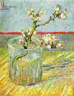 Blooming Almond Stem in a Glass